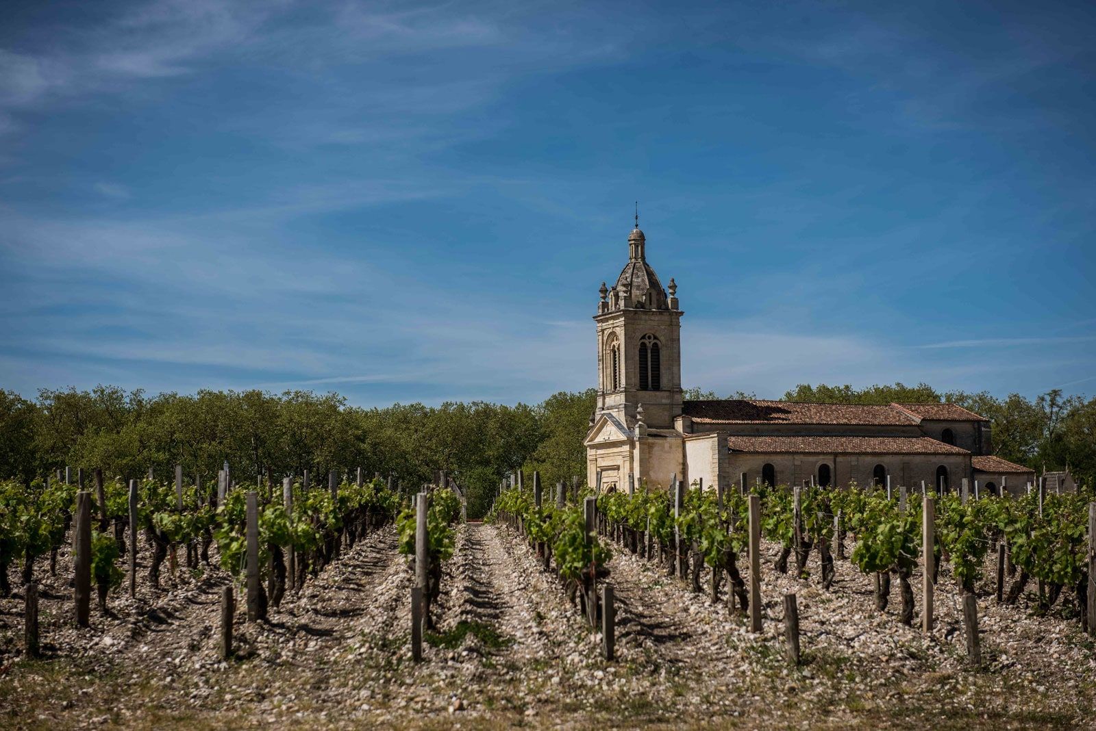 Une église de village au milieu des rangs de vigne