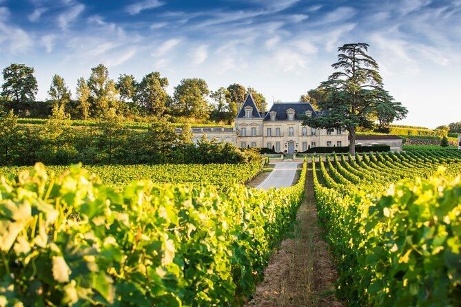Un château au milieu des vignes au soleil couchant